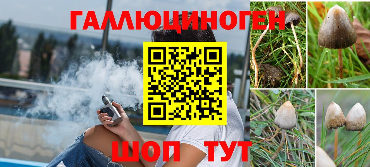 Мелеуз  Галлюциногенные грибы мухоморы  что такое   Вход с VPN 