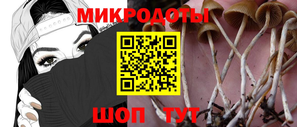 Галлюциногенные грибы Cubensis Мелеуз